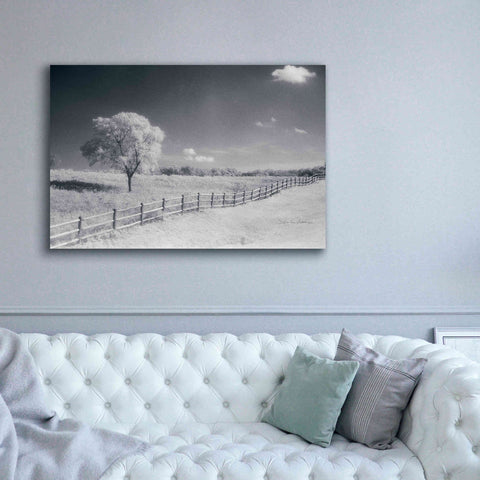 Image of 'Trees Fence I' by Debra Van Swearingen, Canvas Wall Art,60 x 40