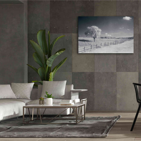 Image of 'Trees Fence I' by Debra Van Swearingen, Canvas Wall Art,60 x 40