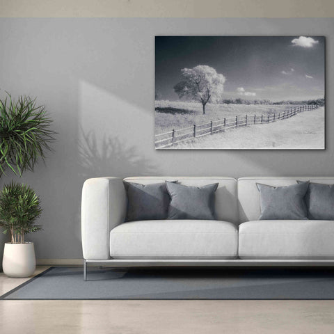 Image of 'Trees Fence I' by Debra Van Swearingen, Canvas Wall Art,60 x 40