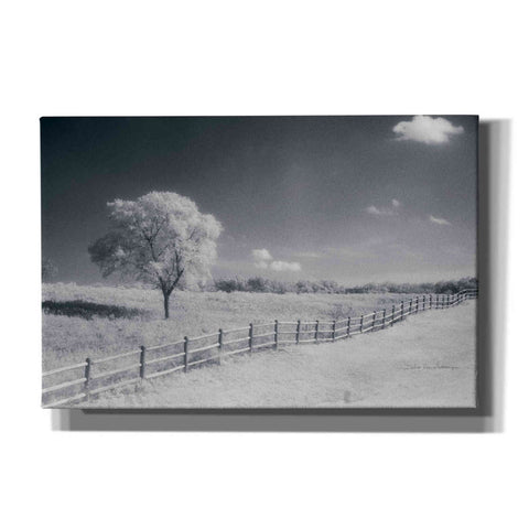 Image of 'Trees Fence I' by Debra Van Swearingen, Canvas Wall Art,18x12x1.1x0,26x18x1.1x0,40x26x1.74x0,60x40x1.74x0