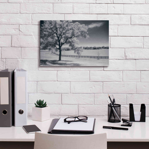 Image of 'Trees Fence II' by Debra Van Swearingen, Canvas Wall Art,18 x 12