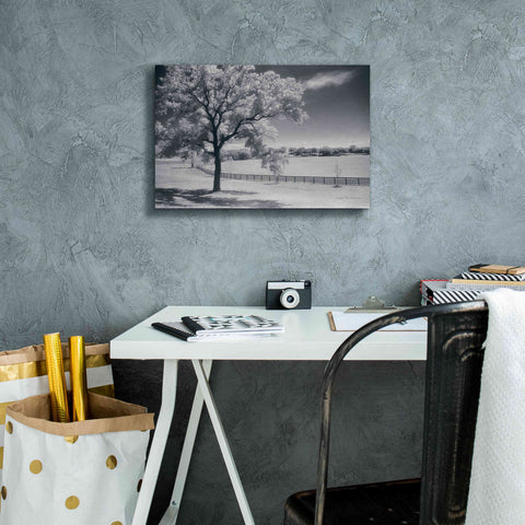 Image of 'Trees Fence II' by Debra Van Swearingen, Canvas Wall Art,18 x 12