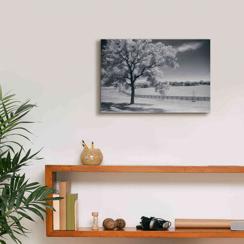 Image of 'Trees Fence II' by Debra Van Swearingen, Canvas Wall Art,18 x 12