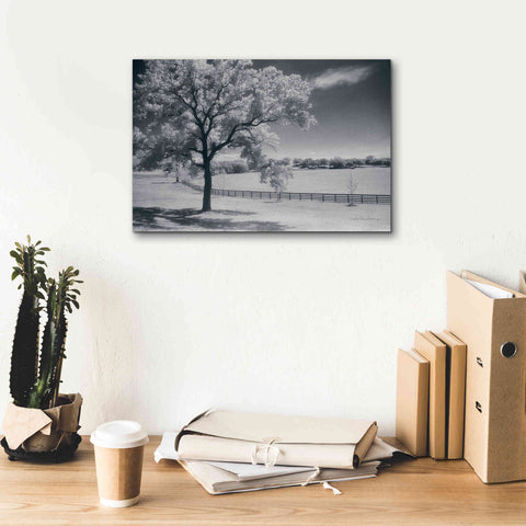 Image of 'Trees Fence II' by Debra Van Swearingen, Canvas Wall Art,18 x 12