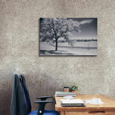 Image of 'Trees Fence II' by Debra Van Swearingen, Canvas Wall Art,40 x 26