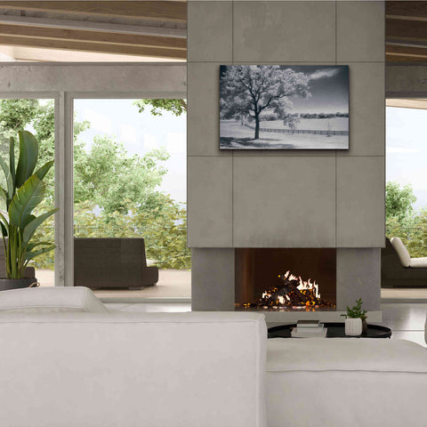 Image of 'Trees Fence II' by Debra Van Swearingen, Canvas Wall Art,40 x 26