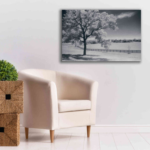 Image of 'Trees Fence II' by Debra Van Swearingen, Canvas Wall Art,40 x 26