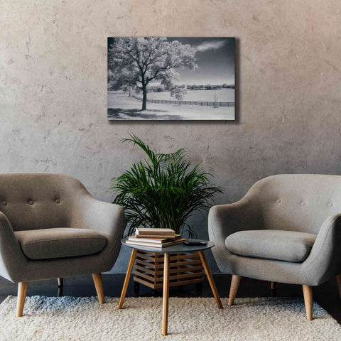 Image of 'Trees Fence II' by Debra Van Swearingen, Canvas Wall Art,40 x 26