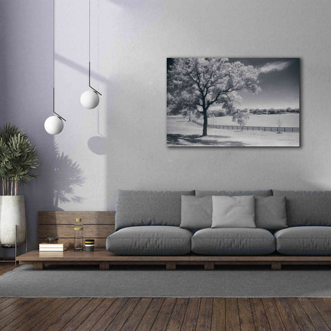 Image of 'Trees Fence II' by Debra Van Swearingen, Canvas Wall Art,60 x 40