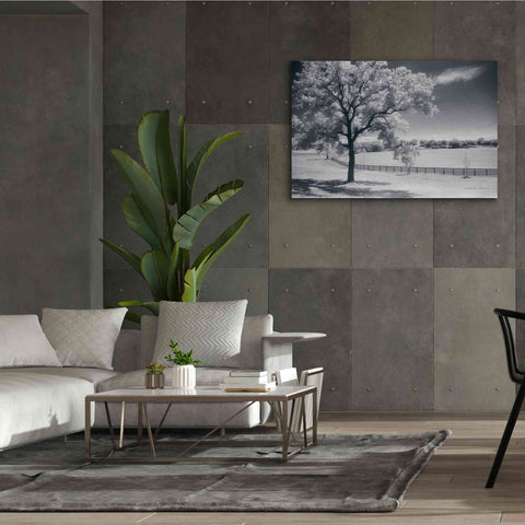 Image of 'Trees Fence II' by Debra Van Swearingen, Canvas Wall Art,60 x 40