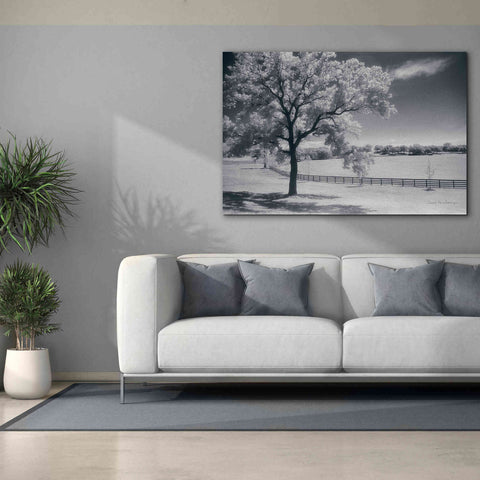 Image of 'Trees Fence II' by Debra Van Swearingen, Canvas Wall Art,60 x 40