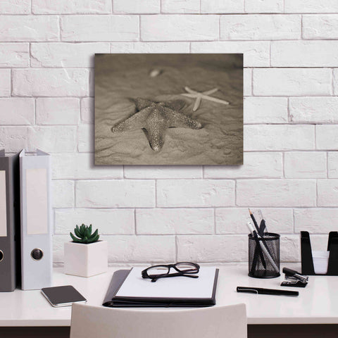 Image of 'Starfish II' by Debra Van Swearingen, Canvas Wall Art,16 x 12