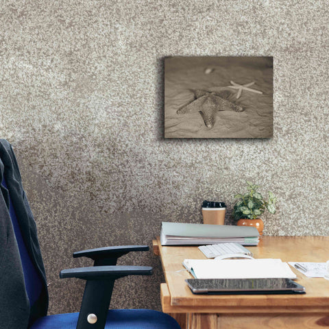 Image of 'Starfish II' by Debra Van Swearingen, Canvas Wall Art,16 x 12