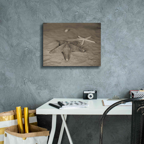 Image of 'Starfish II' by Debra Van Swearingen, Canvas Wall Art,16 x 12