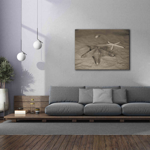 Image of 'Starfish II' by Debra Van Swearingen, Canvas Wall Art,54 x 40