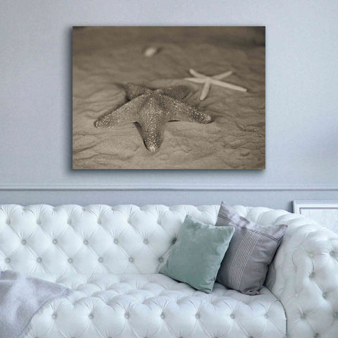 Image of 'Starfish II' by Debra Van Swearingen, Canvas Wall Art,54 x 40