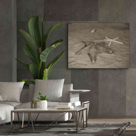 Image of 'Starfish II' by Debra Van Swearingen, Canvas Wall Art,54 x 40