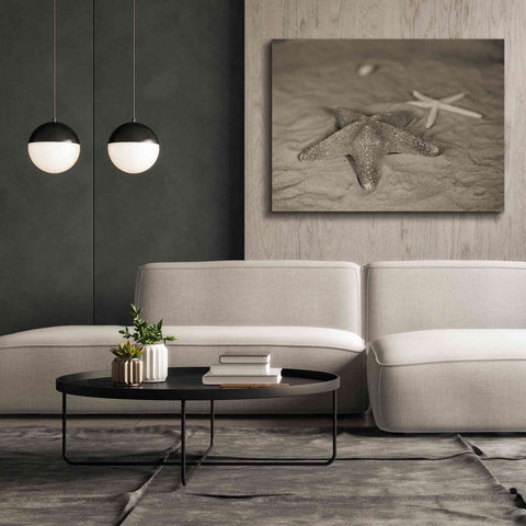 Image of 'Starfish II' by Debra Van Swearingen, Canvas Wall Art,54 x 40