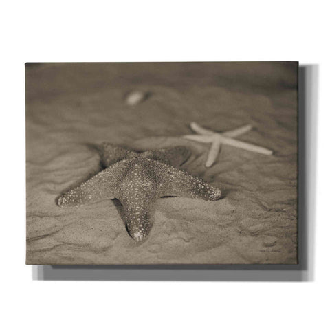 Image of 'Starfish II' by Debra Van Swearingen, Canvas Wall Art,16x12x1.1x0,26x18x1.1x0,34x26x1.74x0,54x40x1.74x0