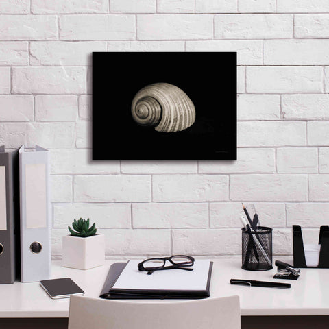 Image of 'Tonna' by Debra Van Swearingen, Canvas Wall Art,16 x 12