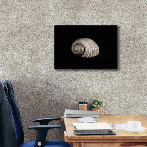 Image of 'Tonna' by Debra Van Swearingen, Canvas Wall Art,26 x 18