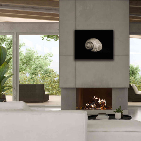 Image of 'Tonna' by Debra Van Swearingen, Canvas Wall Art,34 x 26