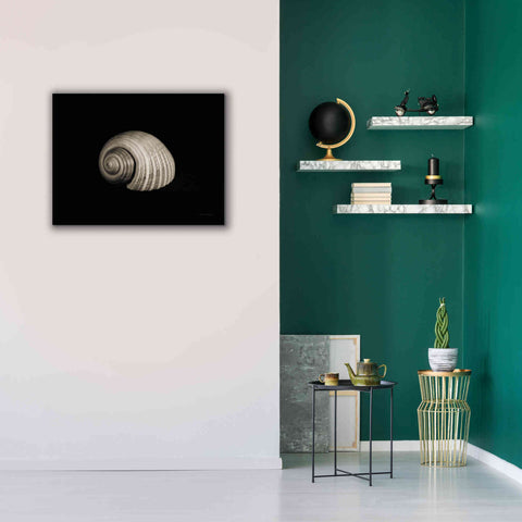 Image of 'Tonna' by Debra Van Swearingen, Canvas Wall Art,34 x 26