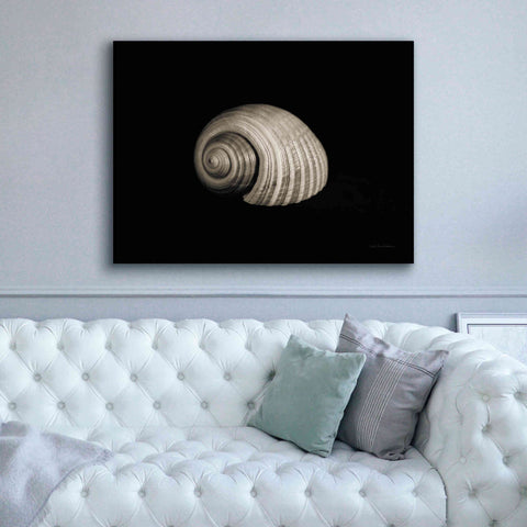 Image of 'Tonna' by Debra Van Swearingen, Canvas Wall Art,54 x 40