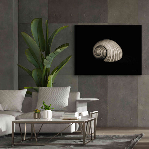 Image of 'Tonna' by Debra Van Swearingen, Canvas Wall Art,54 x 40