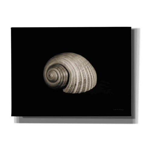 Image of 'Tonna' by Debra Van Swearingen, Canvas Wall Art,16x12x1.1x0,26x18x1.1x0,34x26x1.74x0,54x40x1.74x0