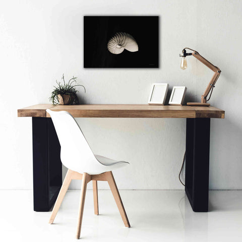 Image of 'Nautilus I' by Debra Van Swearingen, Canvas Wall Art,26 x 18