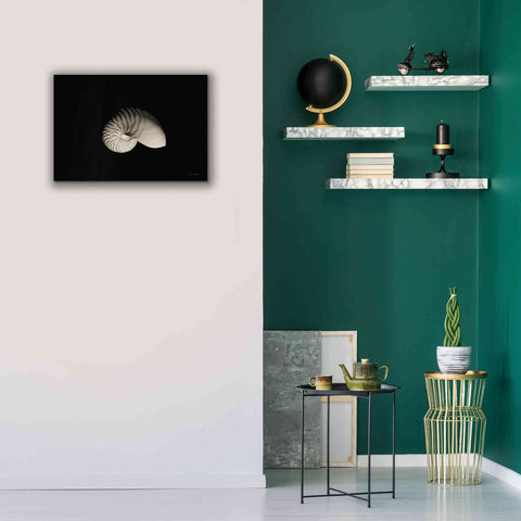Image of 'Nautilus I' by Debra Van Swearingen, Canvas Wall Art,26 x 18