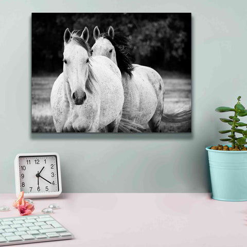 Image of 'Two Wild Horses BW' by Debra Van Swearingen, Canvas Wall Art,16 x 12