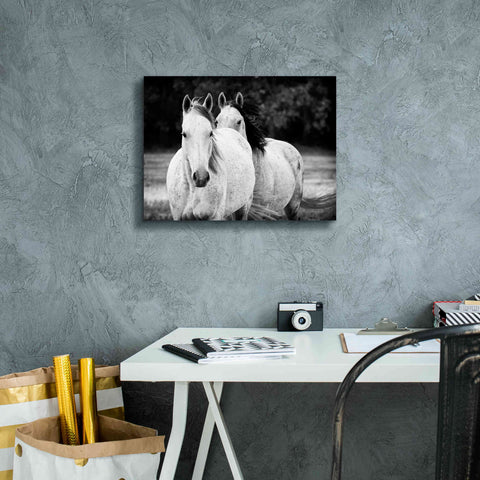 Image of 'Two Wild Horses BW' by Debra Van Swearingen, Canvas Wall Art,16 x 12