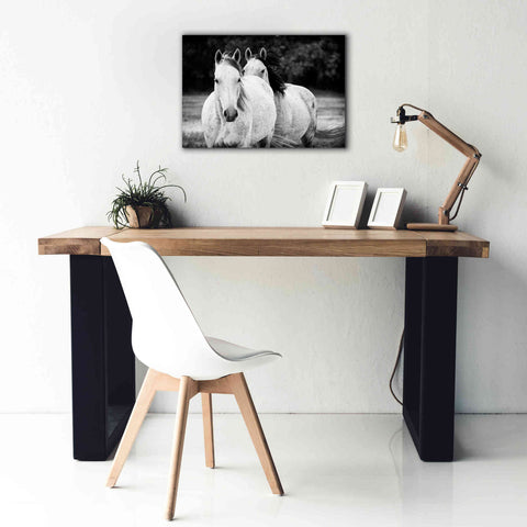 Image of 'Two Wild Horses BW' by Debra Van Swearingen, Canvas Wall Art,26 x 18