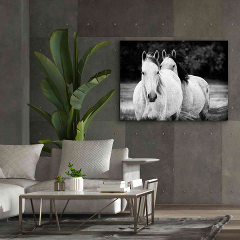 Image of 'Two Wild Horses BW' by Debra Van Swearingen, Canvas Wall Art,54 x 40