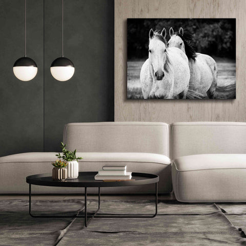 Image of 'Two Wild Horses BW' by Debra Van Swearingen, Canvas Wall Art,54 x 40