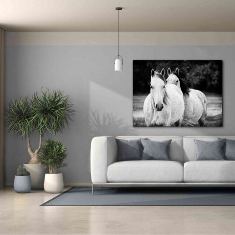 Image of 'Two Wild Horses BW' by Debra Van Swearingen, Canvas Wall Art,54 x 40