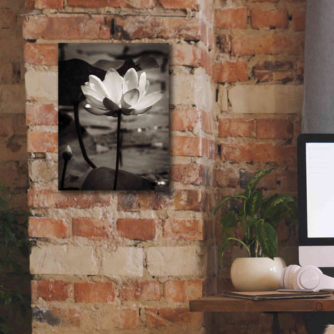 Image of 'Lotus Flower IX' by Debra Van Swearingen, Canvas Wall Art,12 x 16