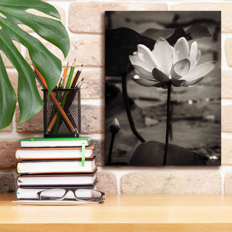 Image of 'Lotus Flower IX' by Debra Van Swearingen, Canvas Wall Art,12 x 16