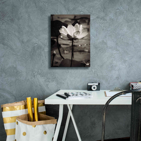 Image of 'Lotus Flower IX' by Debra Van Swearingen, Canvas Wall Art,12 x 16