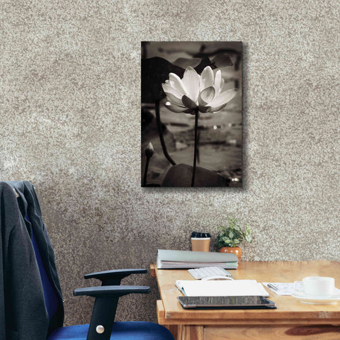 Image of 'Lotus Flower IX' by Debra Van Swearingen, Canvas Wall Art,18 x 26