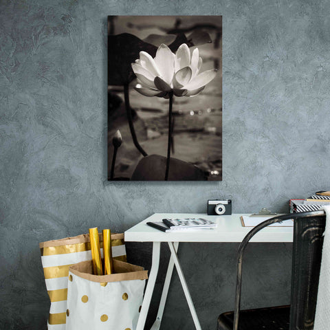 Image of 'Lotus Flower IX' by Debra Van Swearingen, Canvas Wall Art,18 x 26