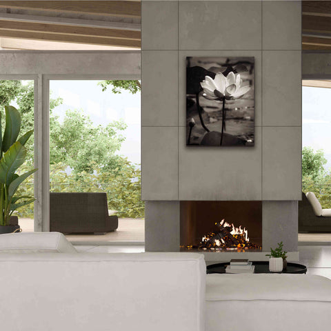 Image of 'Lotus Flower IX' by Debra Van Swearingen, Canvas Wall Art,26 x 34