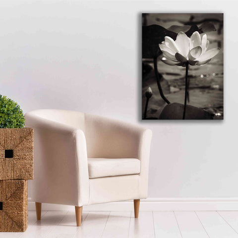 Image of 'Lotus Flower IX' by Debra Van Swearingen, Canvas Wall Art,26 x 34