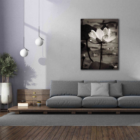 Image of 'Lotus Flower IX' by Debra Van Swearingen, Canvas Wall Art,40 x 54