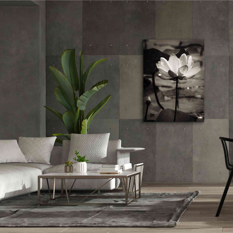 Image of 'Lotus Flower IX' by Debra Van Swearingen, Canvas Wall Art,40 x 54
