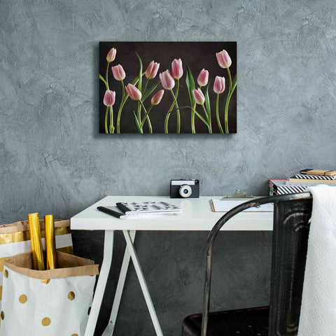 Image of 'Spring Tulips IX' by Debra Van Swearingen, Canvas Wall Art,18 x 12