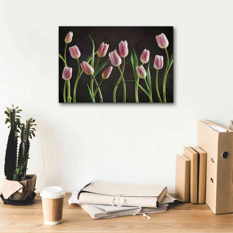 Image of 'Spring Tulips IX' by Debra Van Swearingen, Canvas Wall Art,18 x 12