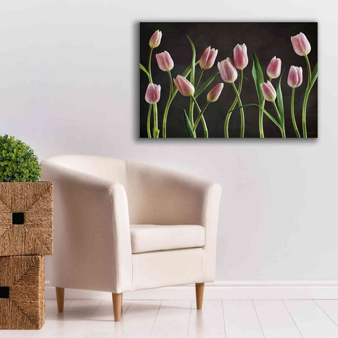 Image of 'Spring Tulips IX' by Debra Van Swearingen, Canvas Wall Art,40 x 26